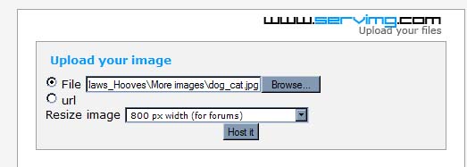 Tutorial: Using the FREE built in image uploader "servimg" Servimg4